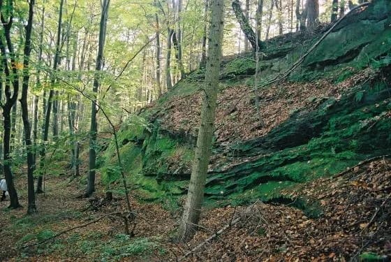 Rezerwat przyrody Herby: odkryj jego niezwykłe bogactwo ekologiczne