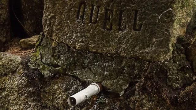 Źródło Dr. Adama w Świeradowie-Zdroju: historia i właściwości