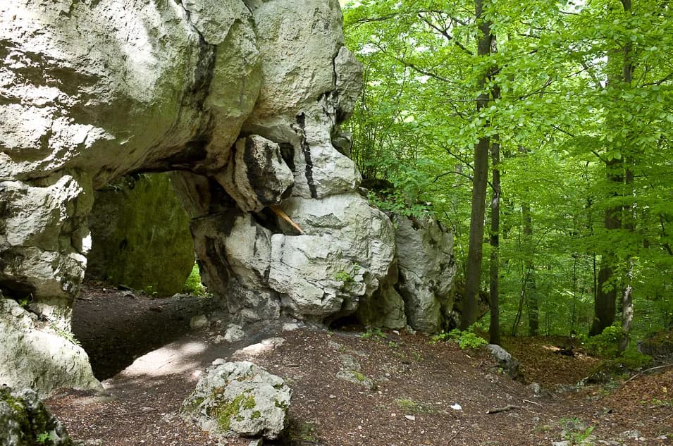Rezerwat przyrody Sokole Góry - tajemnice natury i przygód w sercu Jury