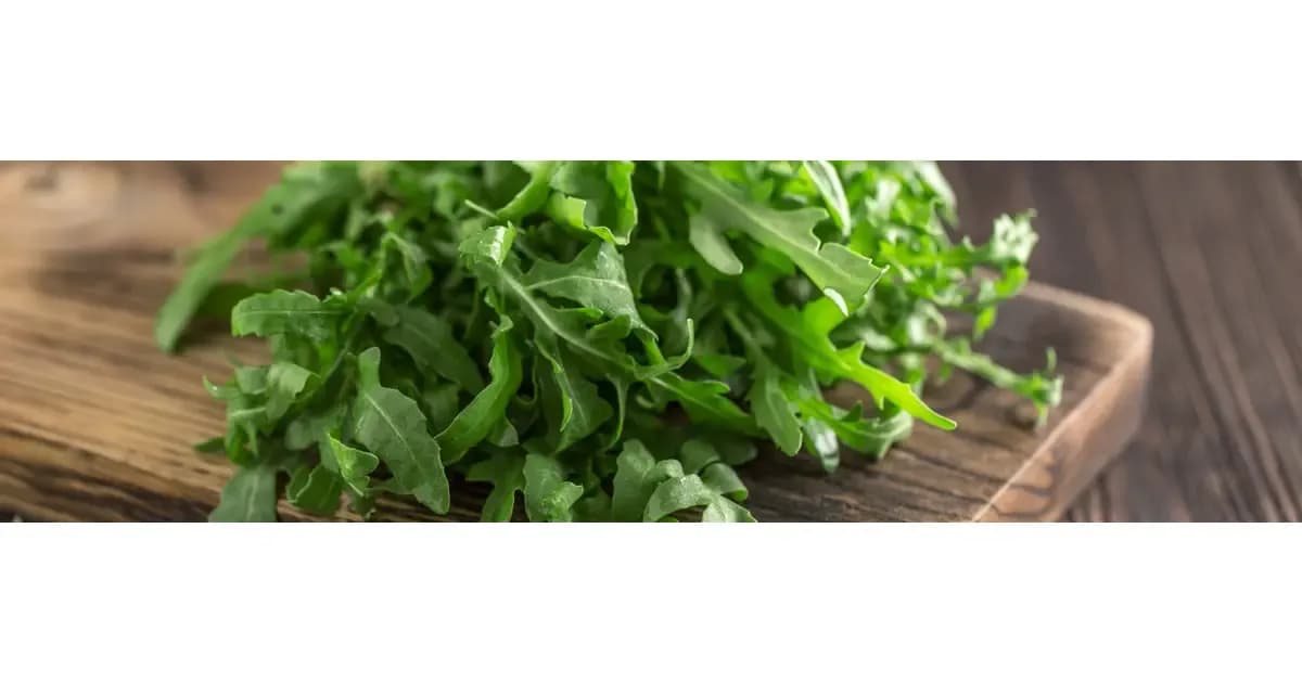 Czy rukola zimuje w gruncie? Skuteczne sposoby na przezimowanie rośliny