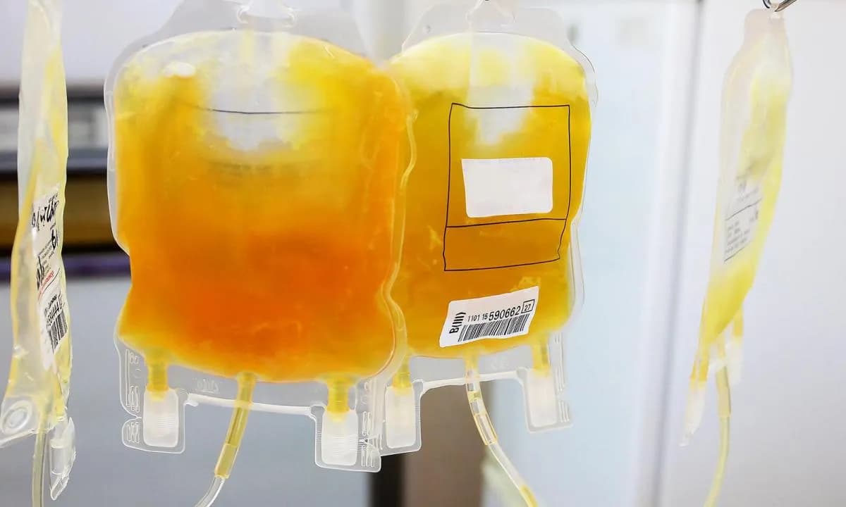 Oddanie krwi w Poznaniu: kompletny poradnik dla początkujących dawców