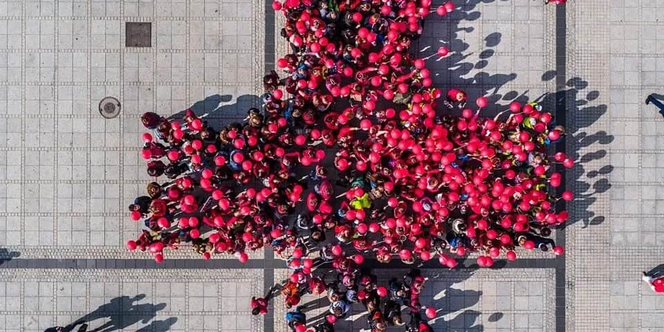 Polski Czerwony Krzyż przy ulicy Czerwonego Krzyża 40 - lokalizacja i kontakt