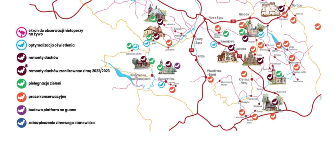 Wszystkie tajemnicze miejsca gdzie zimują nietoperze: fakty i ciekawostki