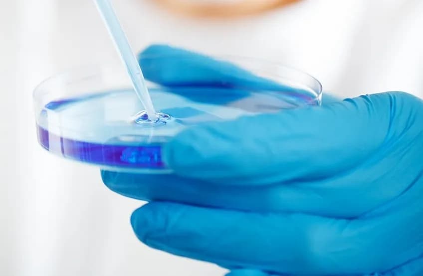 Szalka Petriego: do czego służy i jak wybrać odpowiednią?