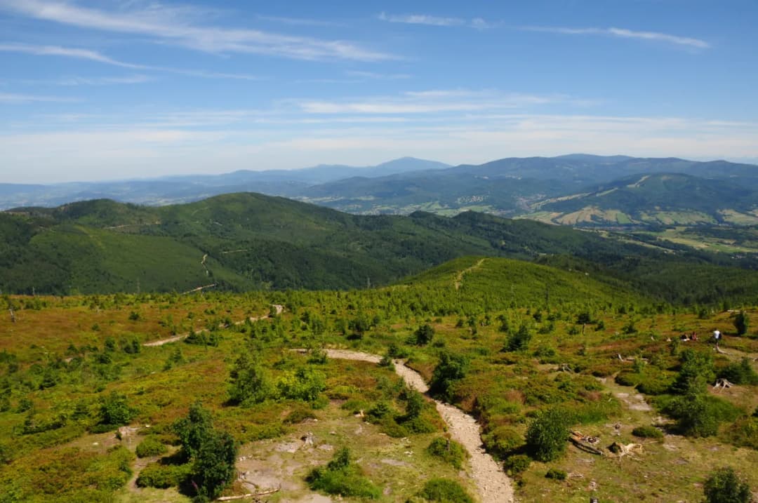 Rezerwat przyrody Barania Góra – tajemnice i niezwykłe atrakcje