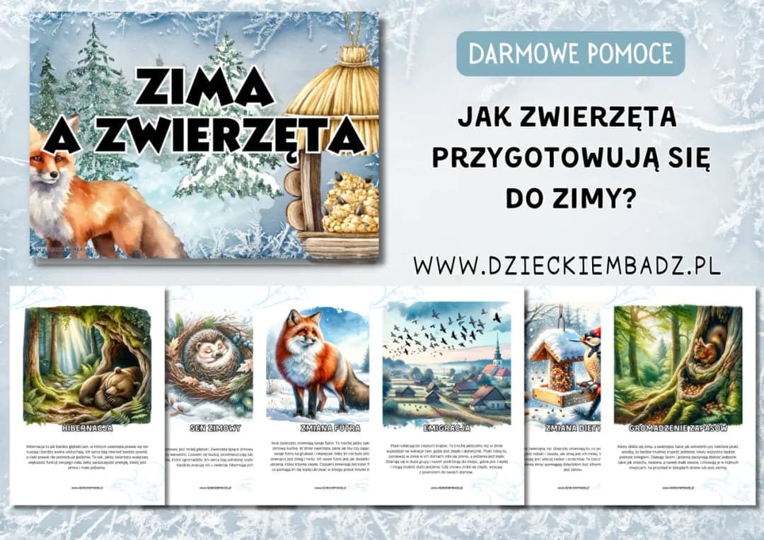 Zobacz jakie zwierzęta i rośliny przygotowują się do zimowania w ziemi