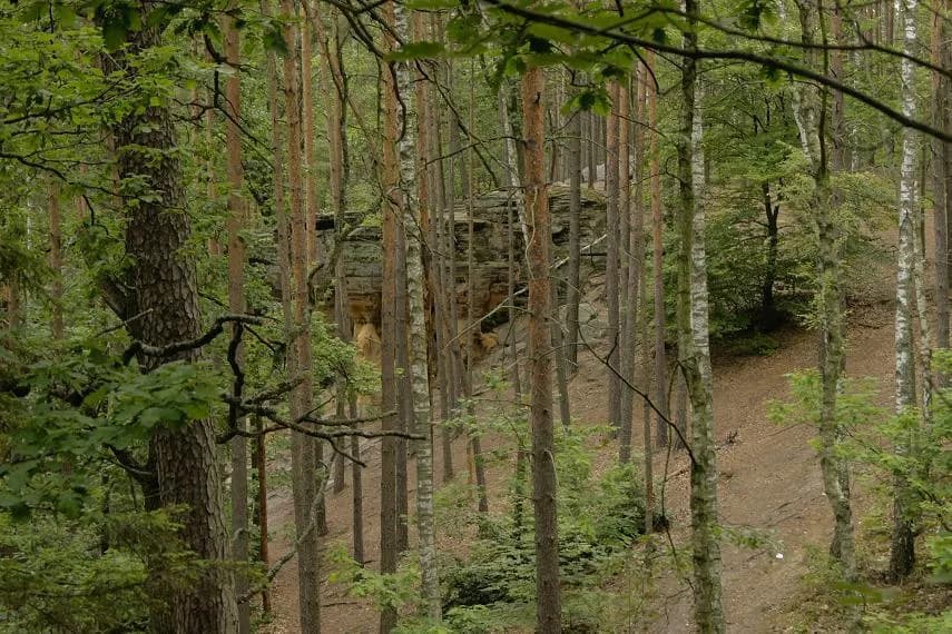 Rezerwat przyrody Skałki Piekło pod Niekłaniem - tajemnice i atrakcje