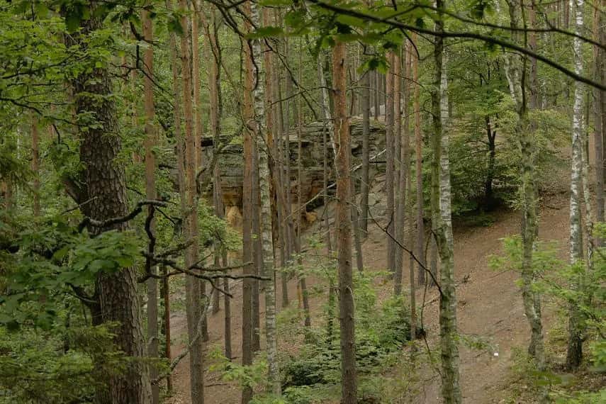 Rezerwat przyrody Skałki Piekło pod Niekłaniem - tajemnice i atrakcje