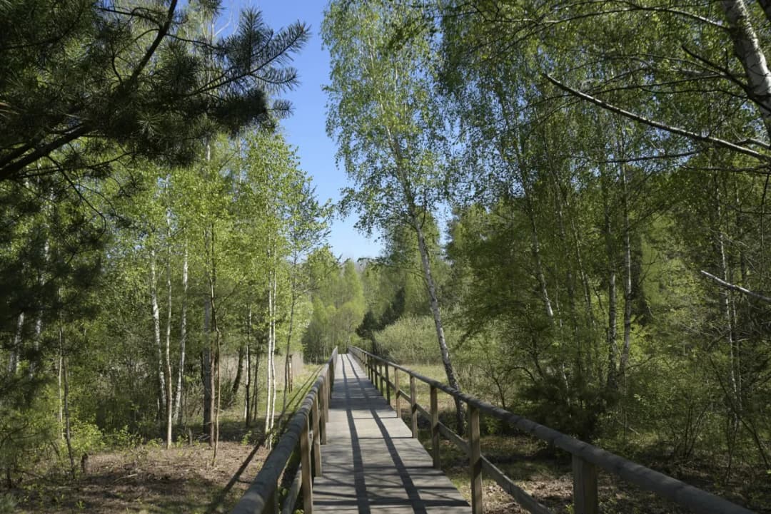 Rezerwat przyrody Jata: Odkryj tajemnice unikalnej natury i historii