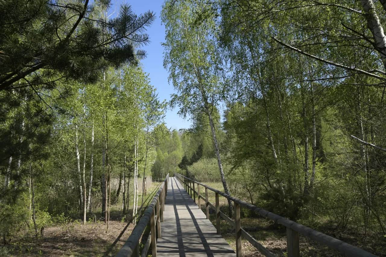 Rezerwat przyrody Jata: Odkryj tajemnice unikalnej natury i historii