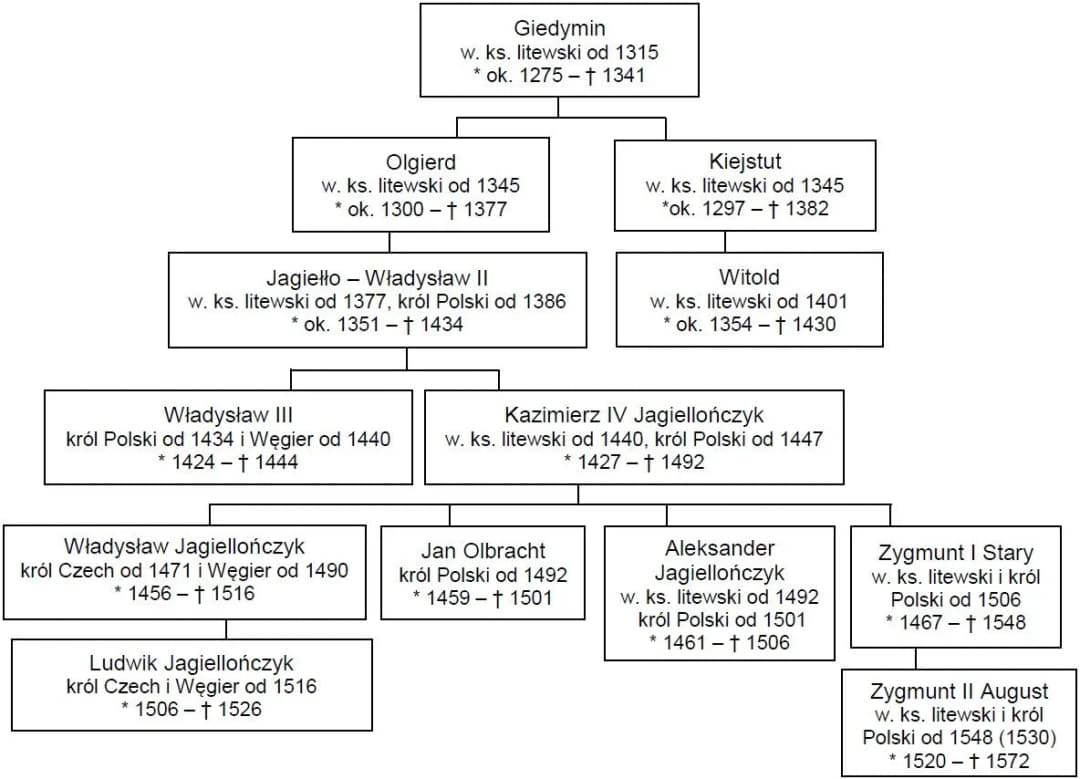 Galeria ratownicza: Kluczowe techniki ewakuacji i zasady bezpieczeństwa